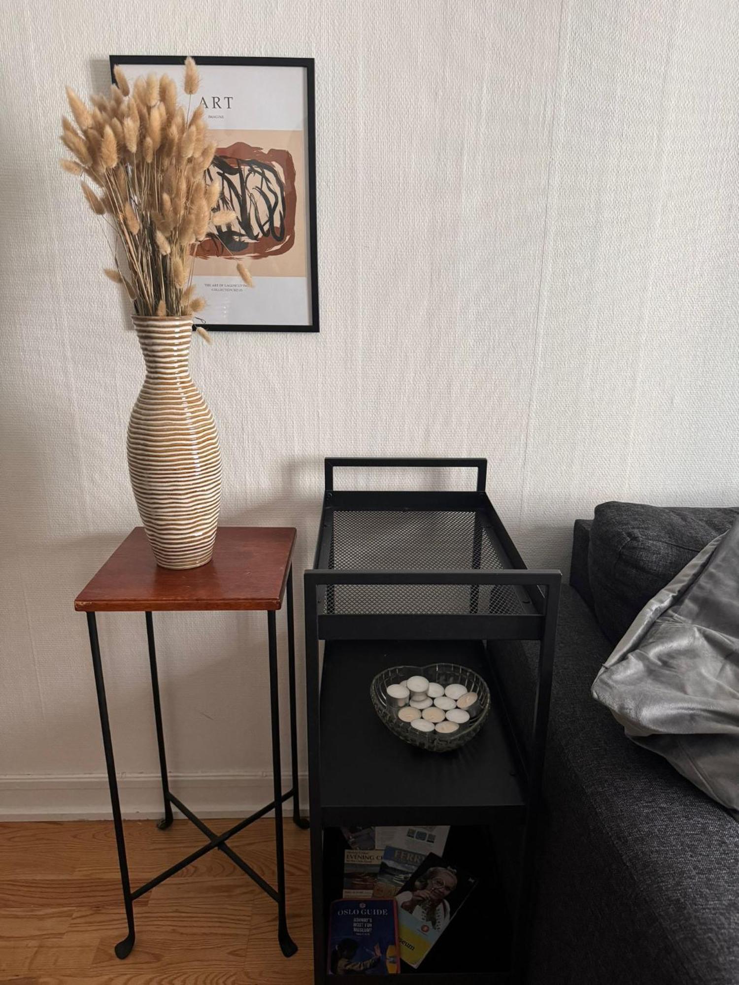 Appartement Agi à Oslo Extérieur photo